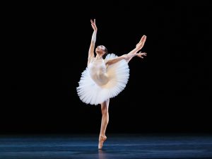 Clara Superfine - 5 - Dutch National Ballet