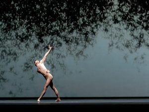 Edo Wijnen - Citizen Nowhere - Dutch National Ballet - photo © Jack Devant